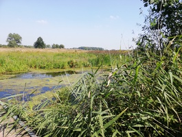 Promenade verte à vélo