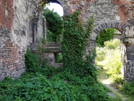 Van de ruïne van de Sint Baafsabdij naar het Patershol
