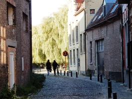 Parels van wijken: Patershol en Prinsenhof