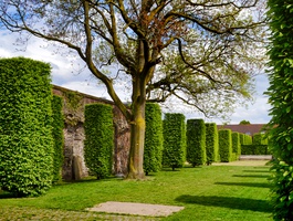 De l’abbaye à la brasserie